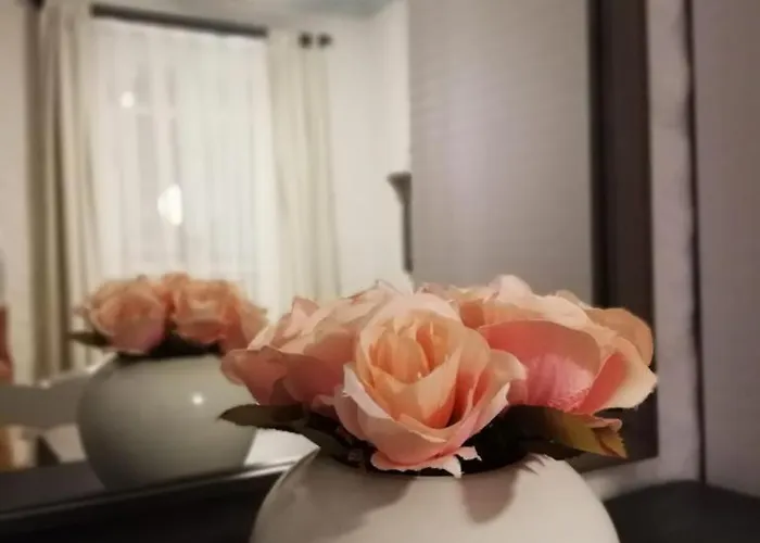 Petite Boutique Szálloda Çeşme